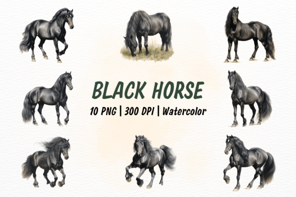 Black Horse Watercolor Clipart in Illustrations