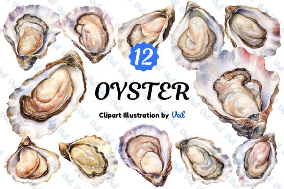 Oyster Clipart Watercolor Bundle: Illustrations for Crafters
