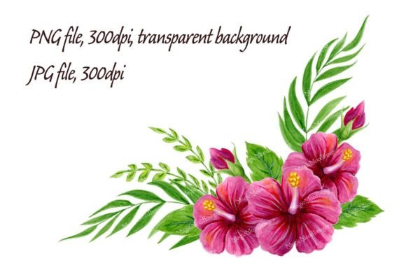Tropical Hibiscus Flowers Watercolor PNG Illustrations