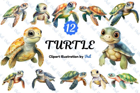 Turtle Clipart Watercolor Bundle: Illustrations Review