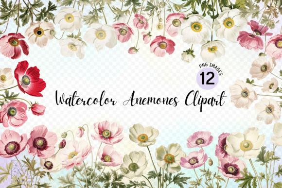 Watercolor Anemones Flowers Clipart for Embroidery