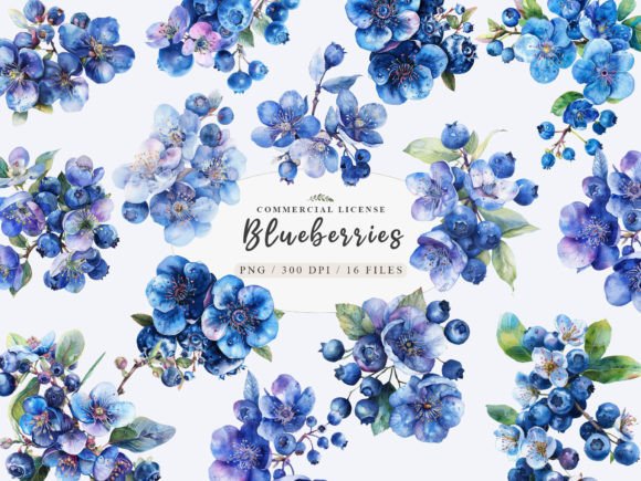 Watercolor Blueberry Clipart Illustrations for Branding