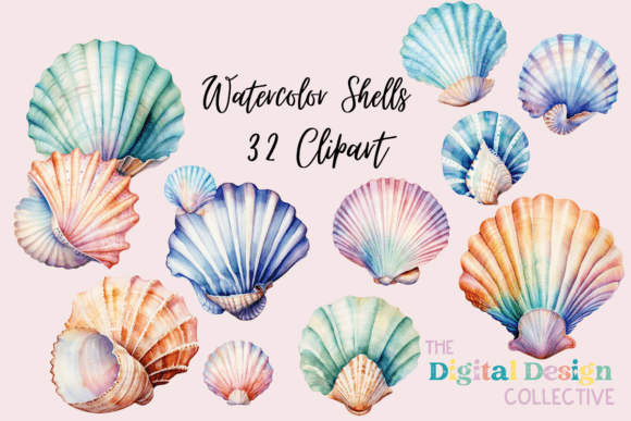 Watercolor Colorful Sea Shells Clipart Illustrations