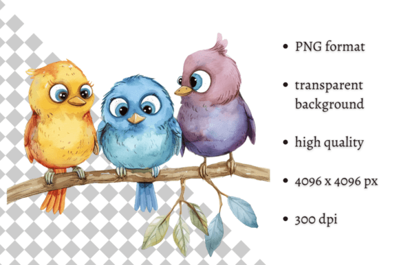 Watercolor Funny Birds Clipart PNG Review