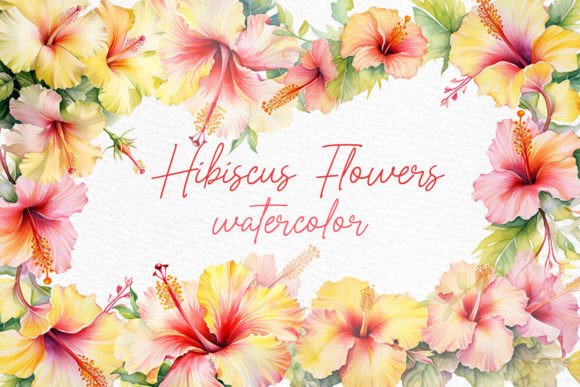 Watercolor Hibiscus Clipart Tropical Png Illustrations