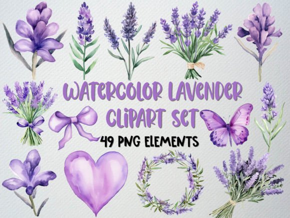 Watercolor Lavender Clipart Illustrations Review