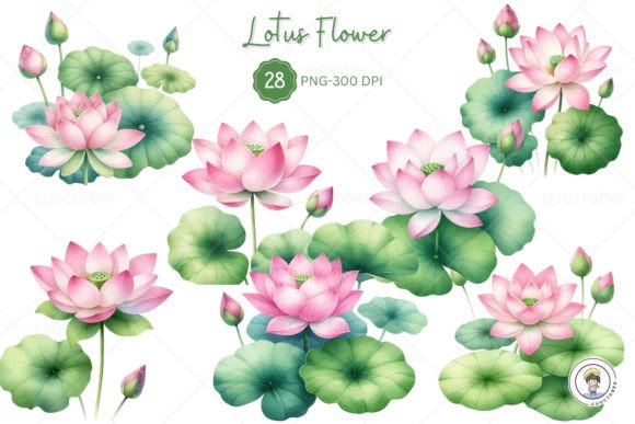 Watercolor Lotus Flower Clipart: Illustrations for Selling