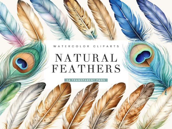 Watercolor Natural Feathers Clipart: Editorial Illustrations
