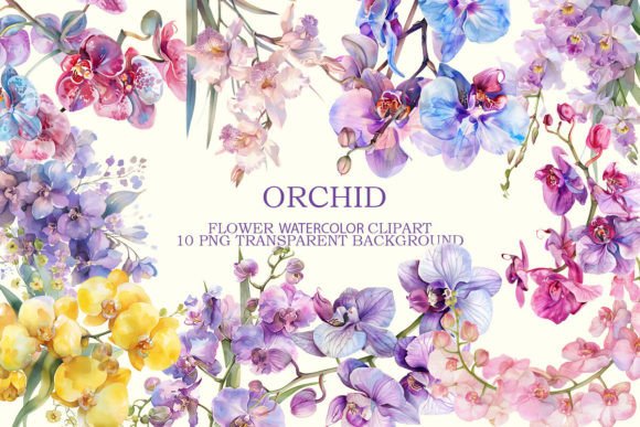 Watercolor Orchid Flowers Clipart Bundle Illustrations