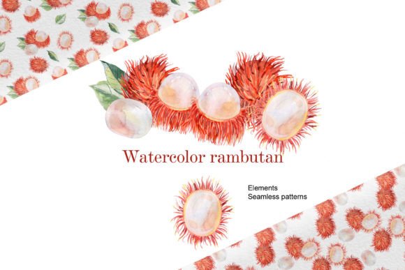 Watercolor Rambutan Illustrations for Brand Design
