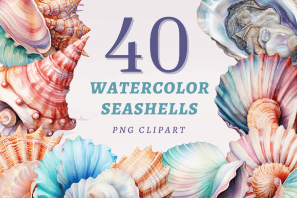 Watercolor Seashells PNG Bundle: An Embroidery Review