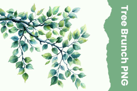 Watercolor Tree Branch Illustrations for Organic Branding