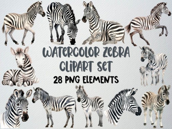 Watercolor Zebra Clipart Illustrations for Products