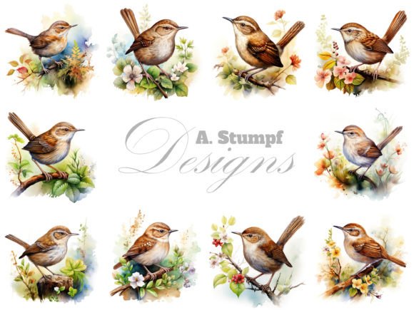 Wren Watercolor Bird Clip Art Bundle: Illustrations Review
